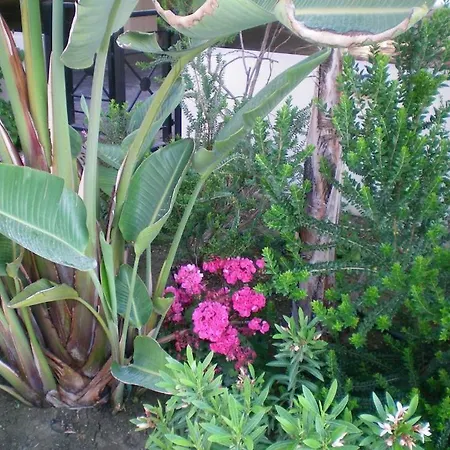 103 Elegant 2 Bed With Free Wifi, Ac, Pool & Gym! 公寓 *