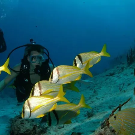 103 Elegant 2 Bed With Free Wifi, Ac, Pool & Gym!