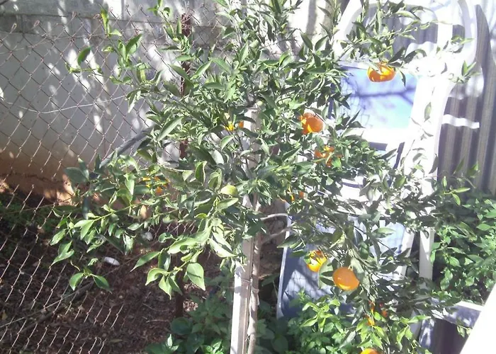 103 Elegant 2 Bed With Free Wifi, Ac, Pool & Gym! *