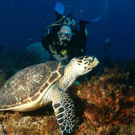 Διαμέρισμα 103 Elegant 2 Bed With Free Wifi, Ac, Pool & Gym!