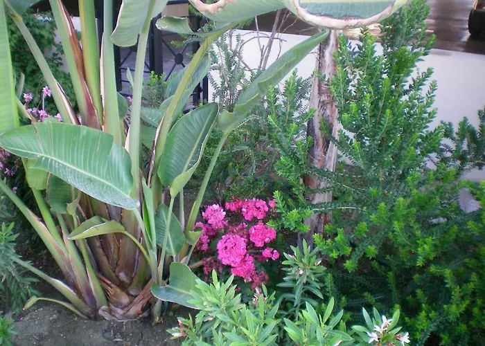 103 Elegant 2 Bed With Free Wifi, Ac, Pool & Gym! Apartmán *