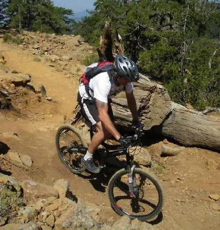 103 Elegant 2 Bed With Free Wifi, Ac, Pool & Gym! Lägenhet Larnaca